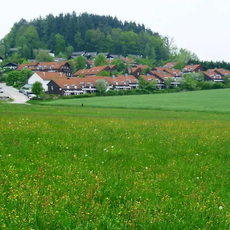Ferienhaus Livi Zandt